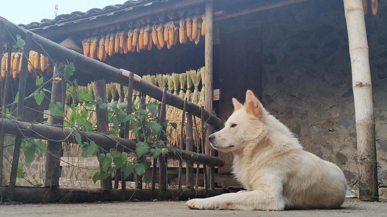 Hoang Cong Ban Gioc Homestay Cao Bang Bagian luar foto
